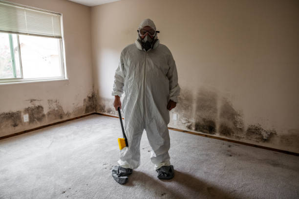Best Residential Mold Removal  in Avenel, NJ